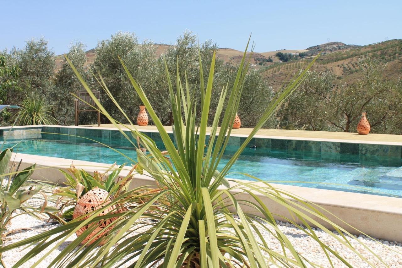 Finca Altozano - Private Pool - Unique Client Valle de Abdalagís Zewnętrze zdjęcie