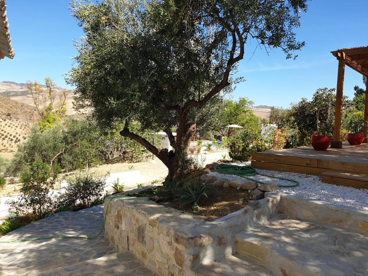 Finca Altozano - Private Pool - Unique Client Valle de Abdalagís Zewnętrze zdjęcie