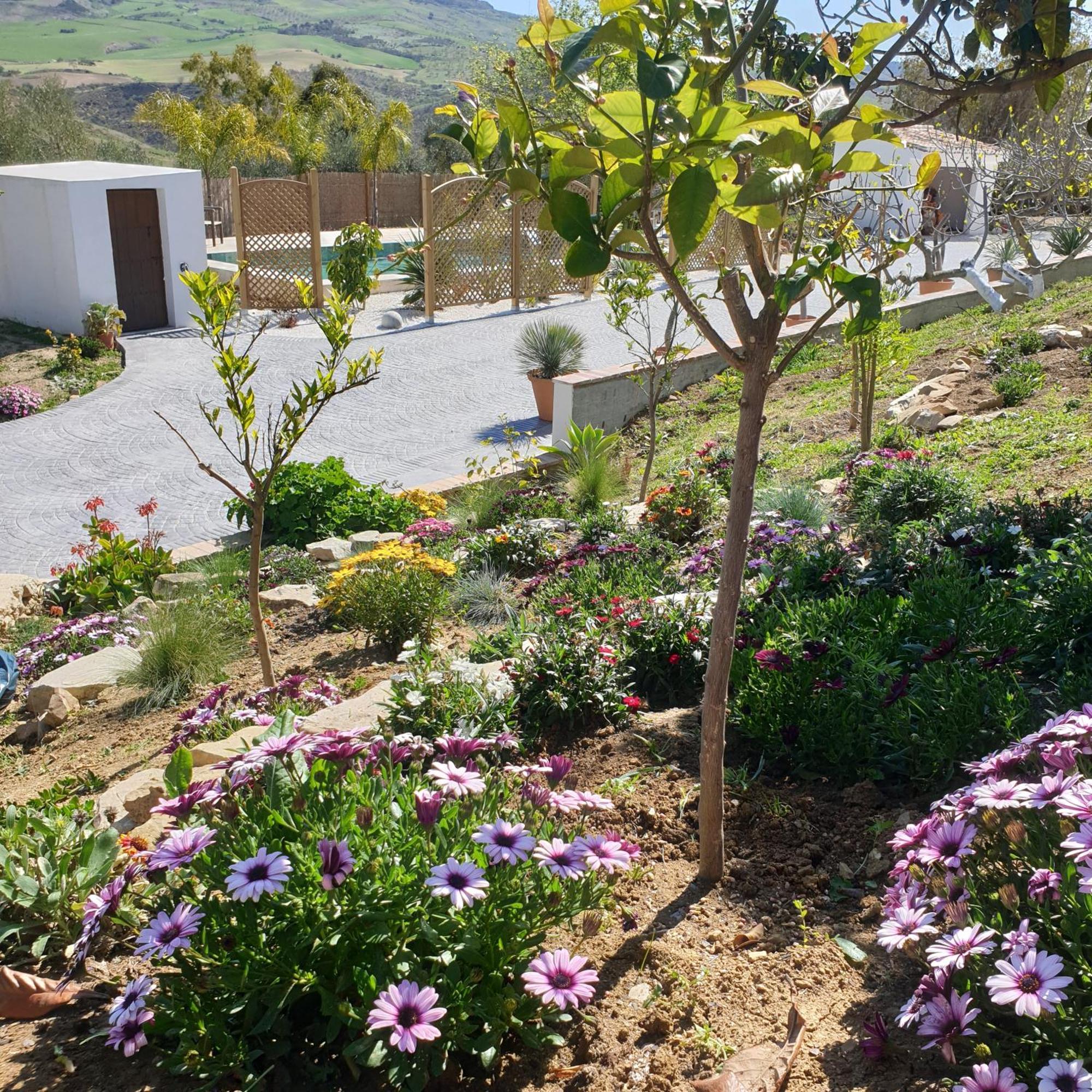 Finca Altozano - Private Pool - Unique Client Valle de Abdalagís Zewnętrze zdjęcie